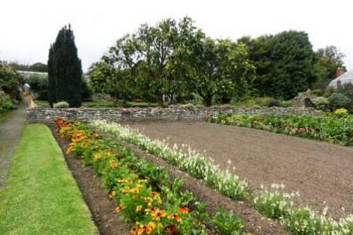 Clovelly Court walled vegetable garden