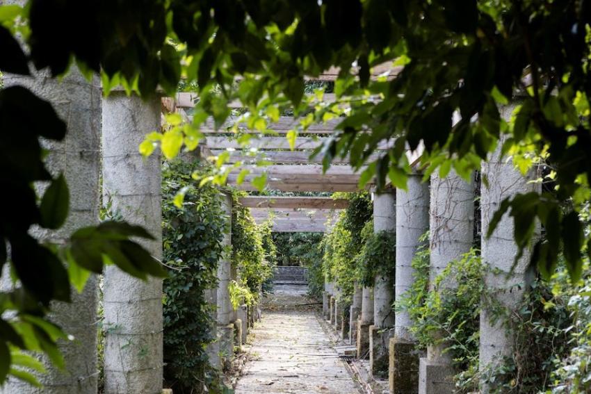 Italian Garden