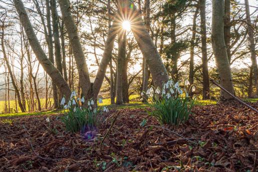 © Liz Mary Photography Devon