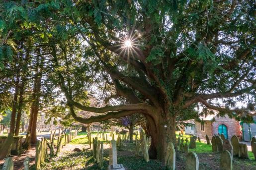 Higher Cemetery