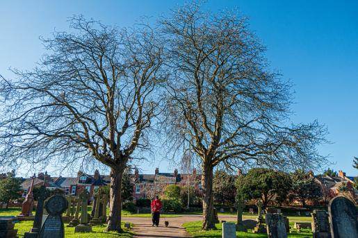 Higher Cemetery