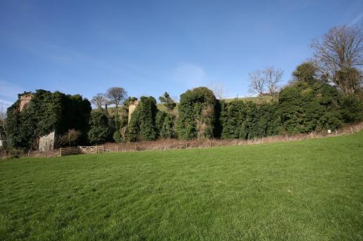 Fowlescombe Manor House ruin