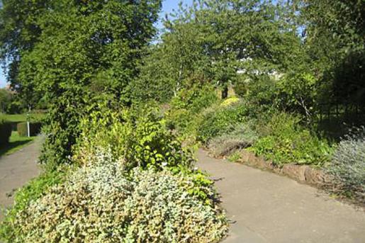 Sensory garden, perhaps the first in the country