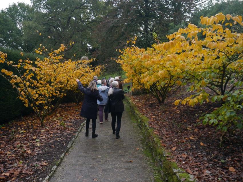dartington