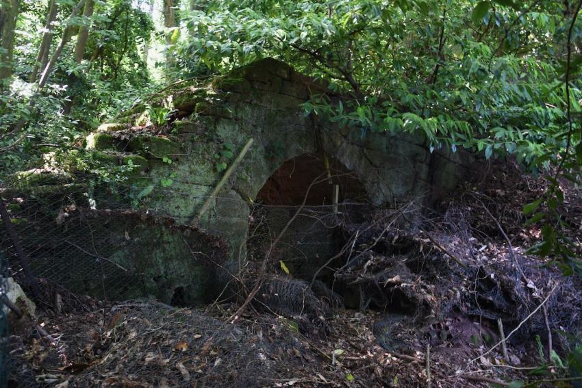 Arch into The Rock pleasure garden at Peamore Park