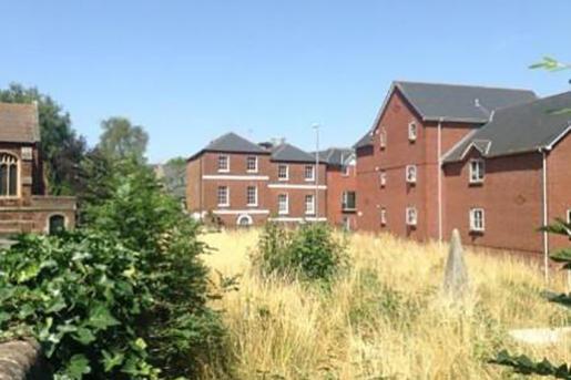 The graveyard in 2013 - overgrown and target for restoration