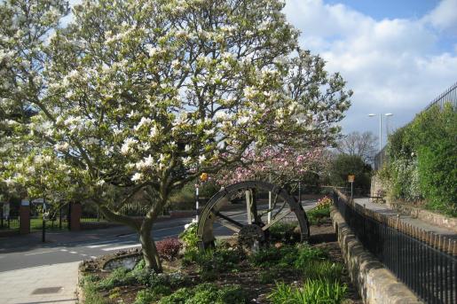 Exmouth Seafront Gardens