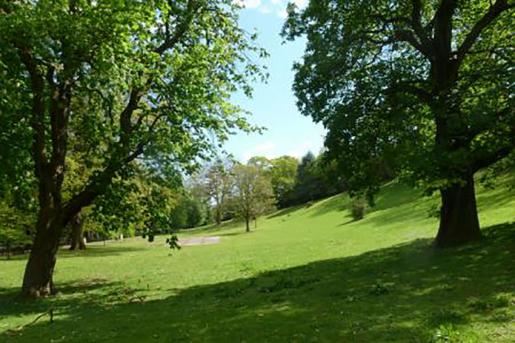 The parkland forms part of the attractive approach to Sidmouth