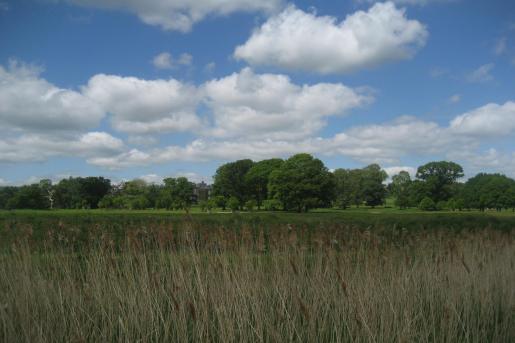 Powderham Castle