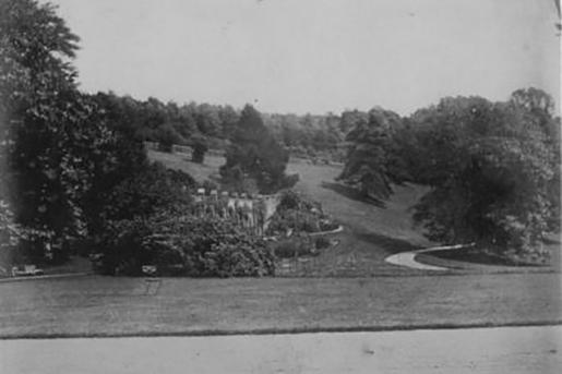 Combe Royal citrus wall in its landscape setting