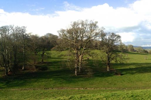 Flete parkland