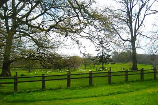 Tetcott Manor Parkland