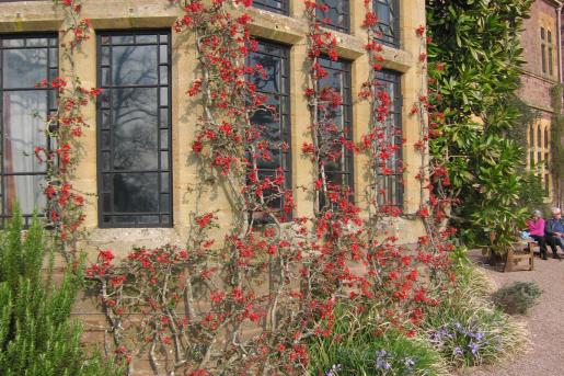 Knightshayes Court