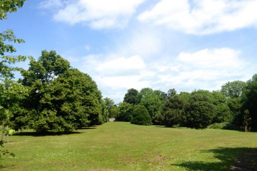 Formal avenue to Forde House