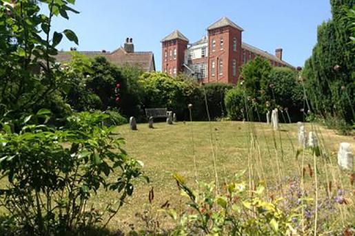 A tranquil garden