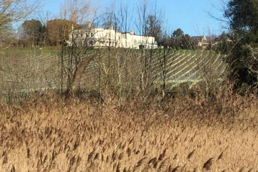 Lympstone Manor