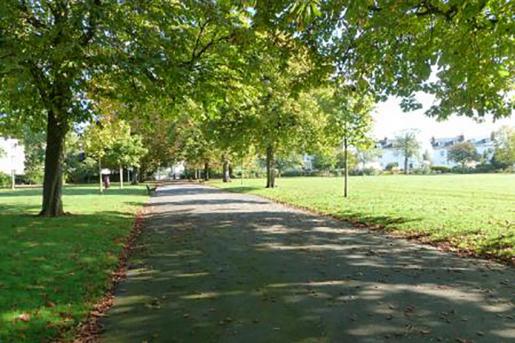 Avenue of horse chestnut trees