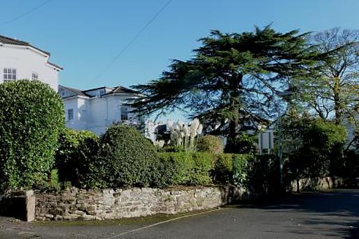 Mount Radford Crescent and the fine Cedar