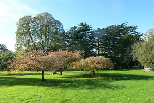 Wonford Hospital is set within a parkland landscape