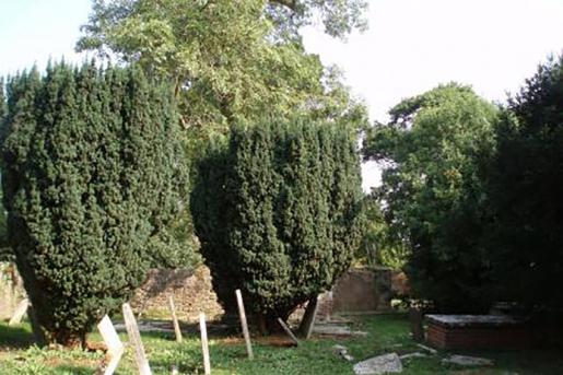 Gulliford burial ground