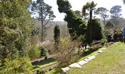 The garden sloping down to the River Yealm