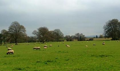 The parkland landscape of Poltimore House