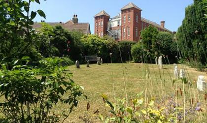 A tranquil garden