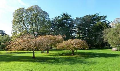 Wonford Hospital is set within a parkland landscape