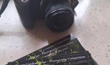 camera