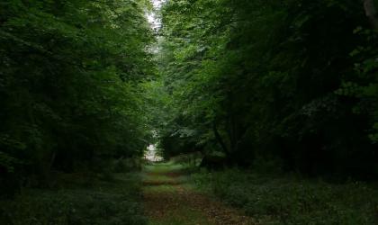 Poltimore landscape