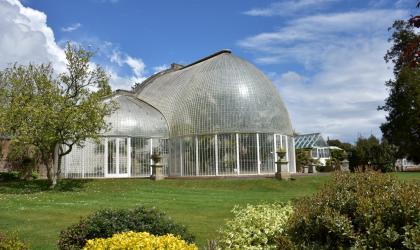 Bicton Glasshouse